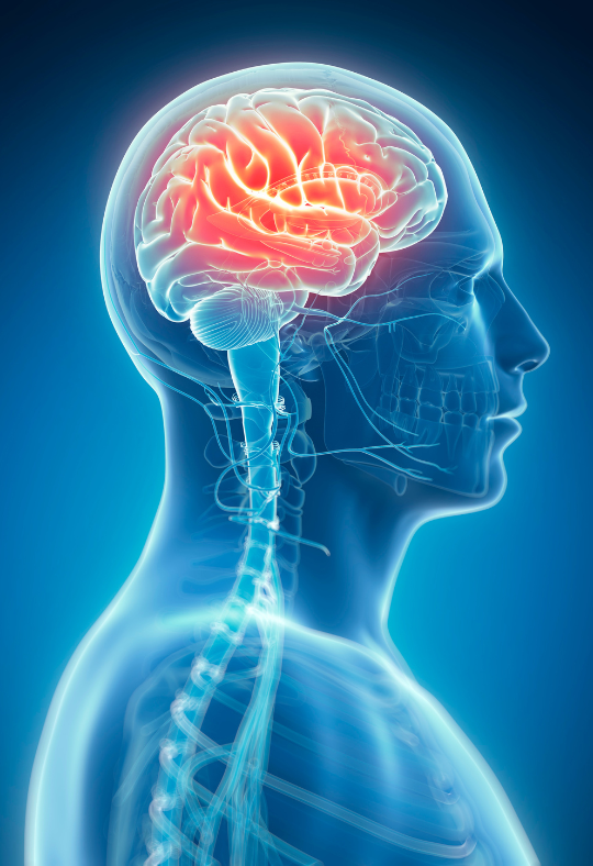 Brain Injury Lawyer in Athens