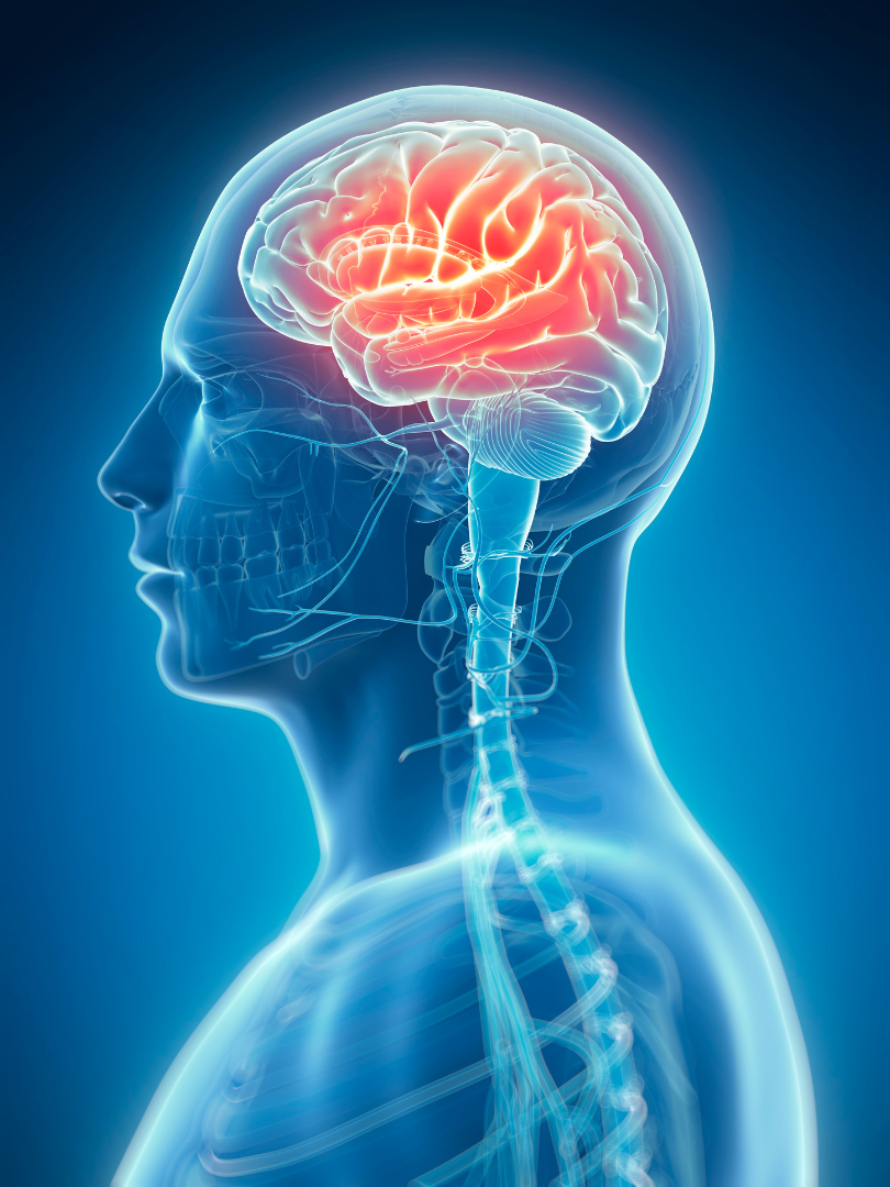 brain injury in Cullman